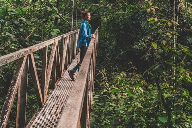 2 Days Rwanda Chimpanzee Trekking Safari - Accommodation and Meals