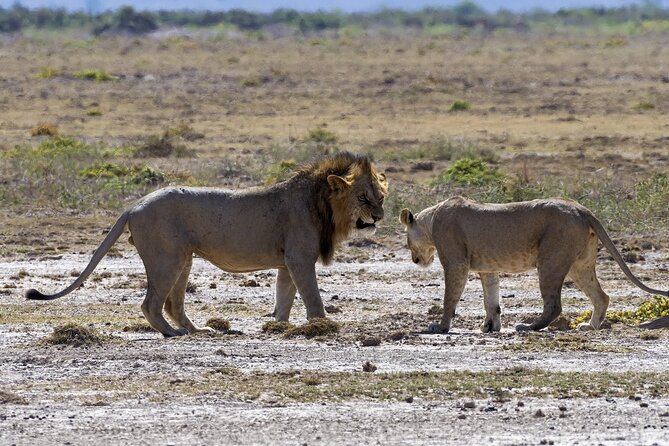 2 Days Safari of Masai Mara - Important Information