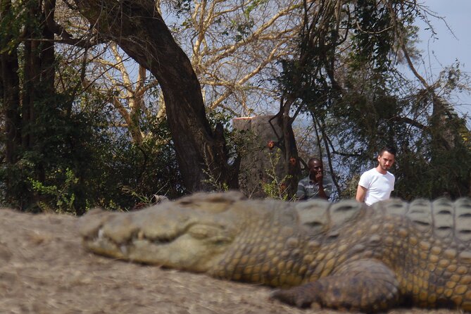 2 Days Safari to Mikumi National Park - Inclusions and Exclusions