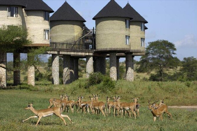 2 Days Taita Hills Game Sanctuary Saltlick Lodge - Additional Booking Details