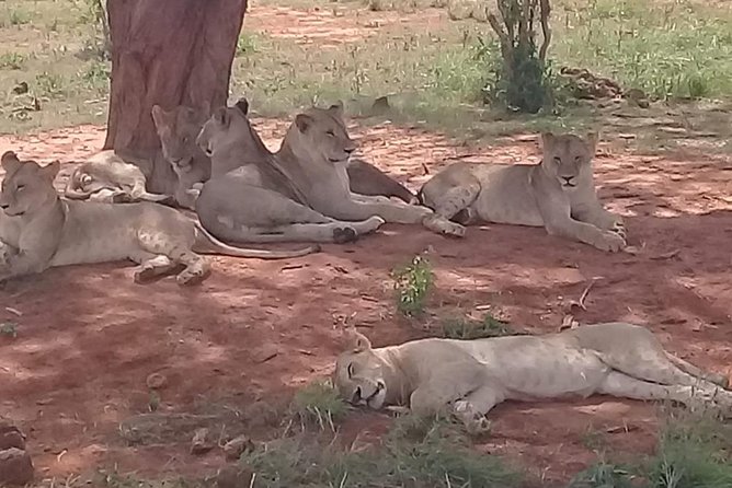 2 Days Tsavo East and West - Inclusions and Exclusions
