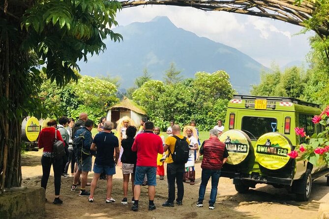 2 Days Uganda Gorilla Trekking - Gorilla Trekking Experience