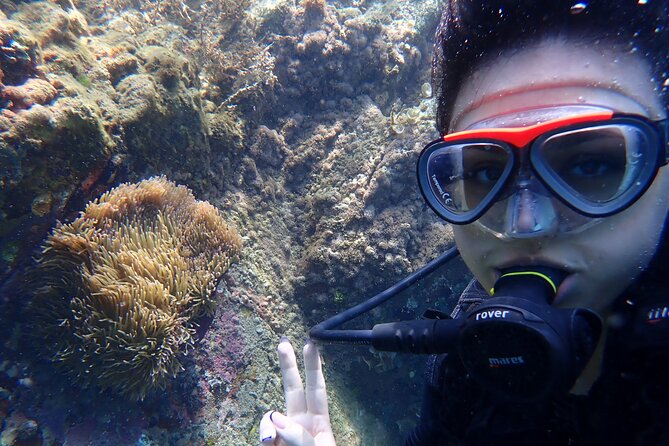 2 Fun Dives for Certified Divers - Customer Reviews and Ratings