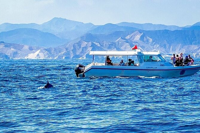 2 Hour Dolphin Watching Experience in Muscat - Inclusions and Pickup Information