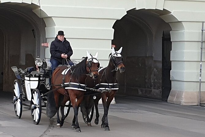 2-Hour Guided Tour in the Footsteps of Princess Sissi in Vienna - Participant Information