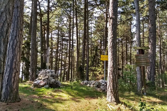 2 Hour Private Alpine Hiking, Gosing Mountain Vienna Tour - Safety Measures