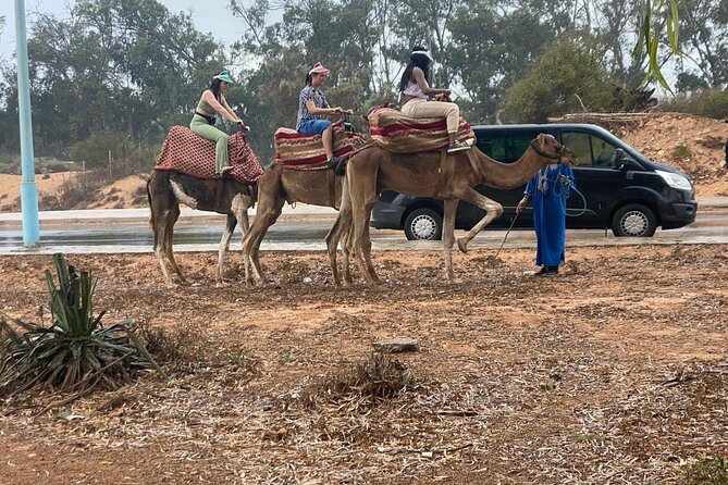 2 Hours Agadir Camel Riding Tour - The Sum Up