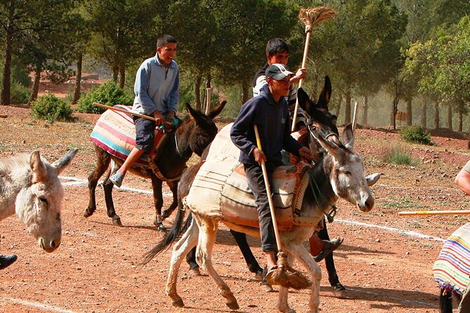 2 Hours of Donkey Polo in Marrakech - General Information