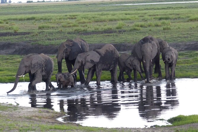 2 Nights 3 Days Overnight Mokoro Trail Okavango Delta - Tour Operator Information