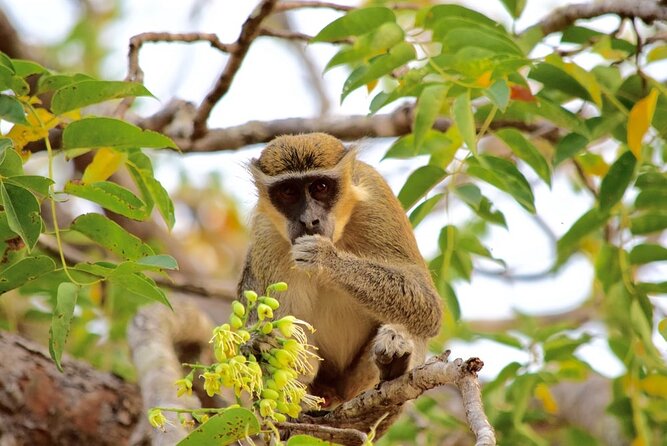 2Days Private Explore Volta Region - What to Expect During the Tour