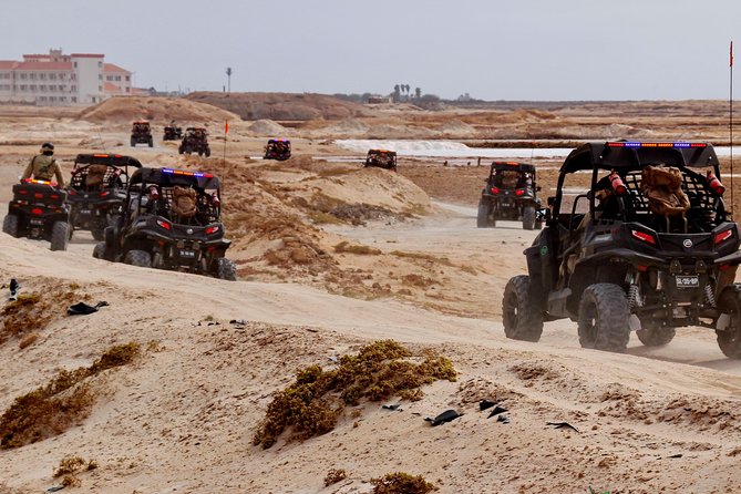 2h SSV Buggy Desert Adventure - 1000cc or 500cc - Customer Reviews and Recommendations