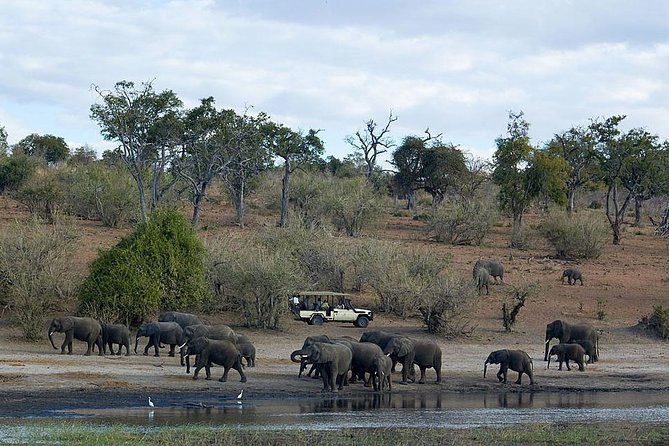 3 Day Chobe National Park Camping Safari - The Sum Up