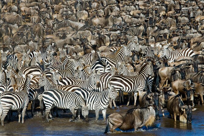 3-Day Fly in Private Safari in Serengeti and Ngorongoro - Safety and Guidelines