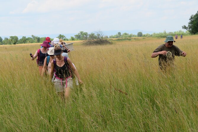 3-Day Lake Kis-Balaton Safari With Overnight at Cottage House - Frequently Asked Questions