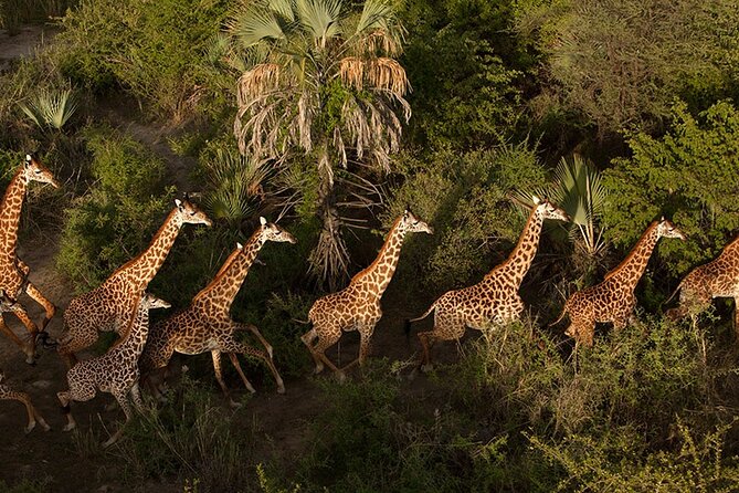 3 Day: Landscapes of Serengeti and Ngorongoro Crater - Frequently Asked Questions