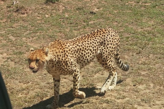 3 Day Maasai Mara Adventure Group Safari - Tour Highlights