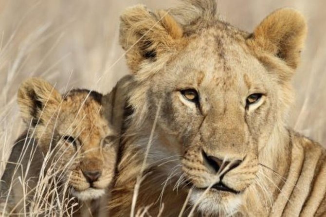 3-Day Masai Mara Private Luxury Safari - Itinerary Overview
