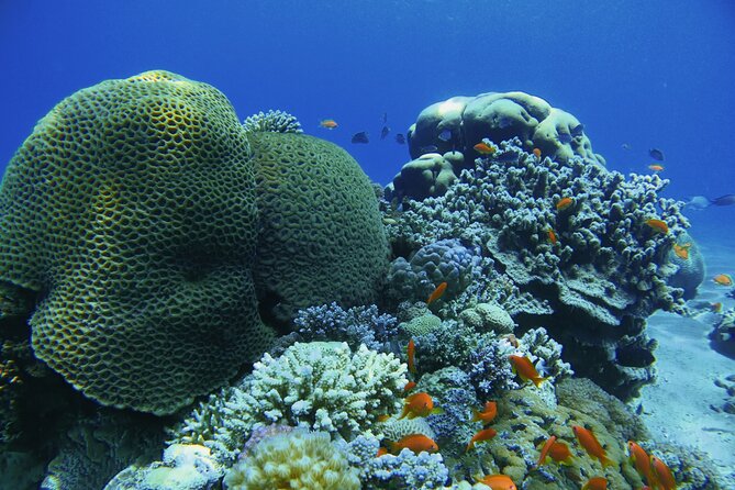 3-Day Open Water Scuba Diving Course in Aqaba - Course Details