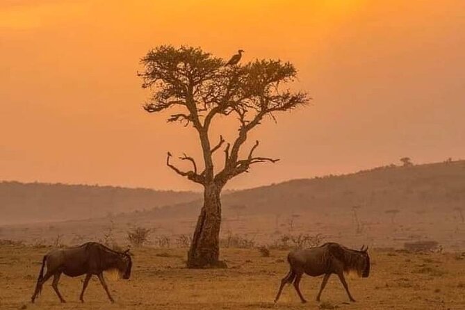 3-Day Private Masai Mara Safari - Tour Customization Options