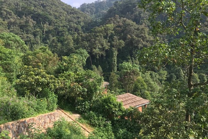 3 Day Safari With Gorilla Tracking in Bwindi NP - Inclusions