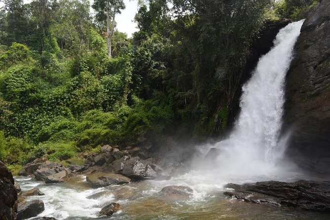 3-Day Wayanad Tour From Bangalore - Reviews and Ratings