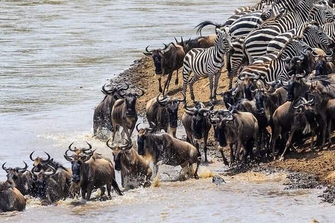 3 Days 2 Nights Maasai Mara Private Tour - Accommodation Details