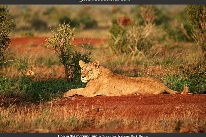 3 Days & 2 Nights Tsavo East & West National Park Safari Tour - Inclusions
