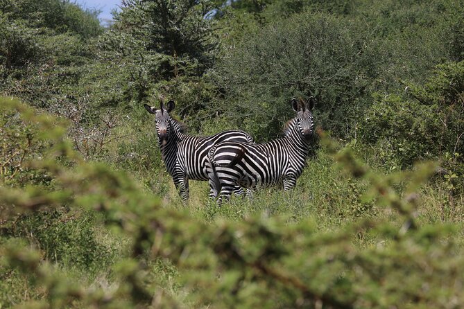 3 Days/2Nights Nyerere National Park Safari - Optional Activities