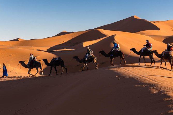 3 Days Desert Trip From Marrakech to Merzouga Dunes & Camel Trek - Inclusions and Services