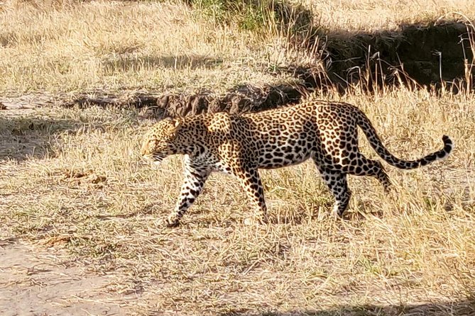 3 Days Masaai Mara Joining Safari - Itinerary Overview