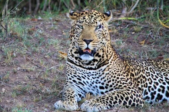 3 Days Masai Mara Flight Safari - Frequently Asked Questions