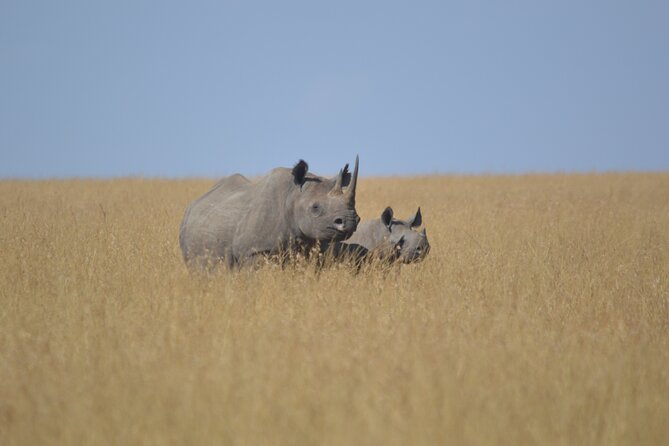 3-Days Masai Mara Rhythms Safari - The Sum Up