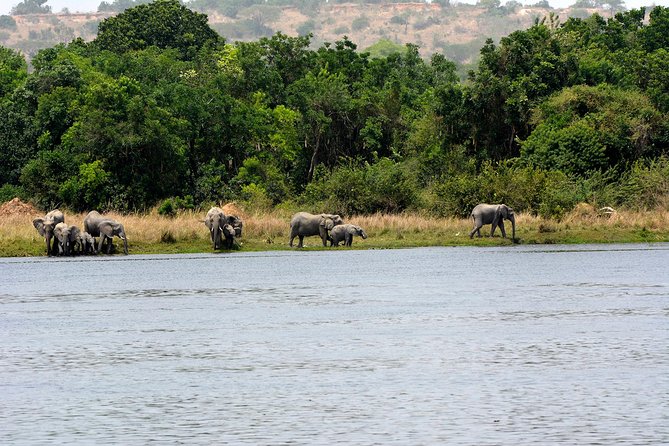 3 Days Murchison Falls Wildlife Safari - Inclusions and Exclusions