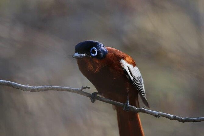 3 Days Private Tour in Lemur Territory in Andasibe - Booking and Cancellation Policy