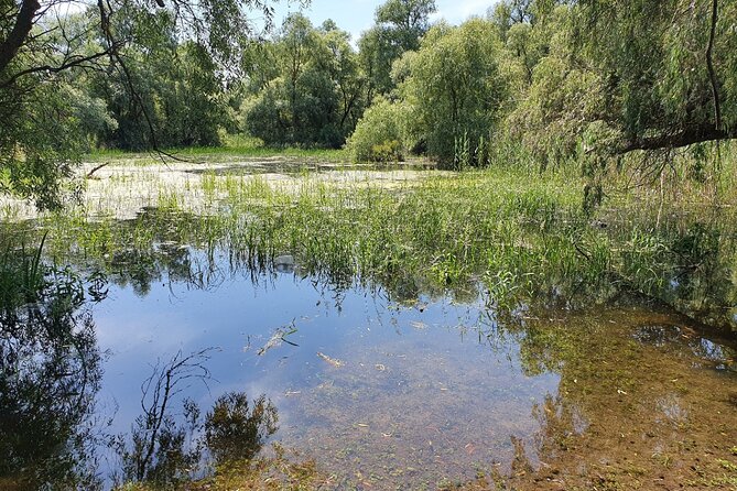 3 Days Private Tour to Danube Delta From Bucharest - Accommodation Details