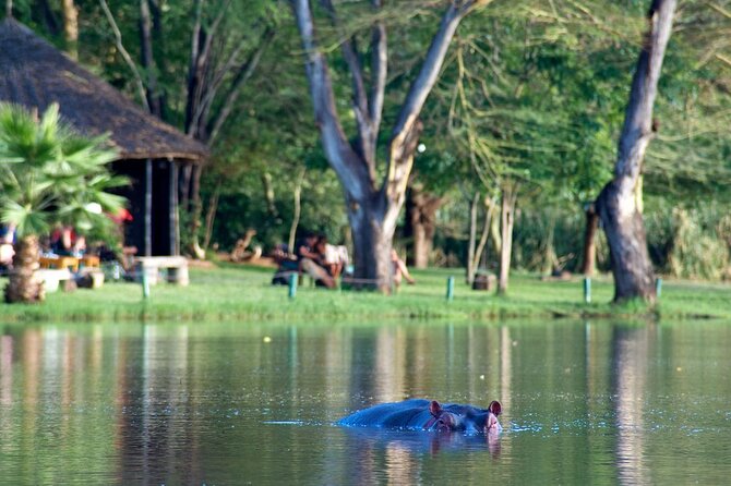 3 Days Private Tour to Tsavo Ziwani Camp and Night Game Drive - Accommodation at Tsavo Ziwani Camp
