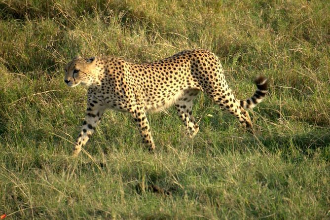 3 Days Red Elephant Safari - Frequently Asked Questions