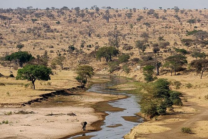 3 Days Safari to Tarangire ,Lake Manyara and Ngorongoro Crater - Optional Add-Ons