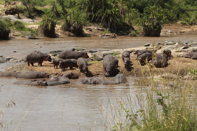 3 Days Safari Tour in Lake Manyara and Ngorngoro - Tour Highlights