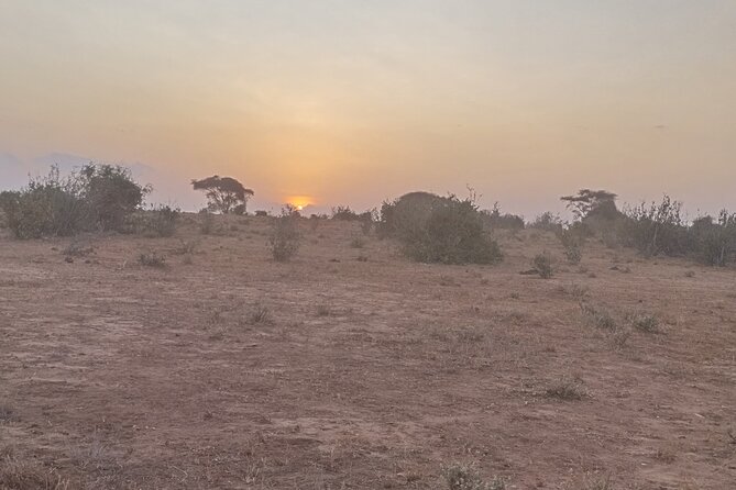 3 Days Tsavo East + Taita Hills/Saltlick Lodge From Malindi - Inclusions and Accessibility