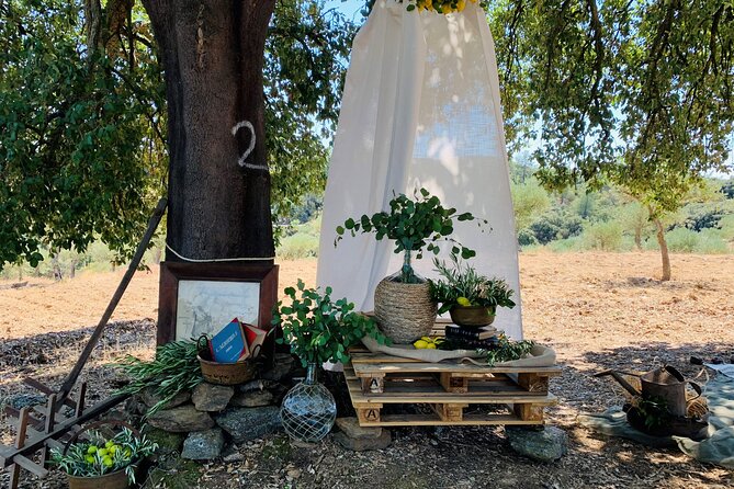 3-Hour Private Wine Tasting in Quinta Da Vineadouro With Lunch - Directions and Google Maps Link