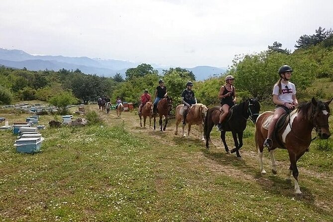 3 Hours Horse Back Riding Alanya - Location: Alanya, Turkey