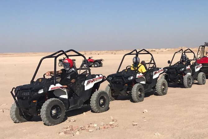 3 Hours Safari by Buggy Car & Camel Ride With Transfer - Marsa Alam - Frequently Asked Questions