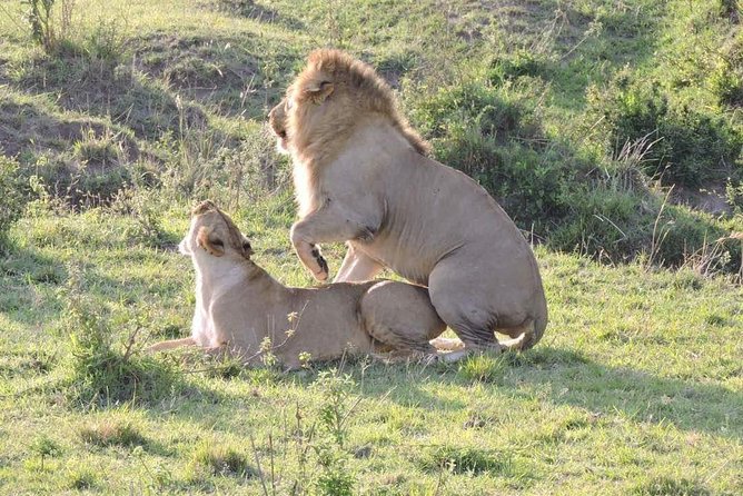 3days Safari - Frequently Asked Questions
