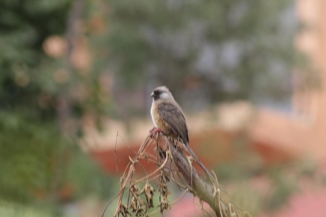 4-Day Abune Yosef Conservation Area Trekking Tour From Lalibela - Meeting Point