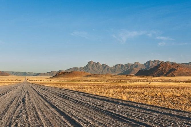 4 Day Etosha National Park and Swakopmund Camping - Safari and Wildlife Encounters