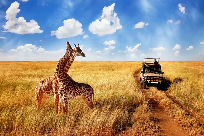4 Day Private Serengeti and Ngorongoro Mid Range Tour - Booking and Contact Information