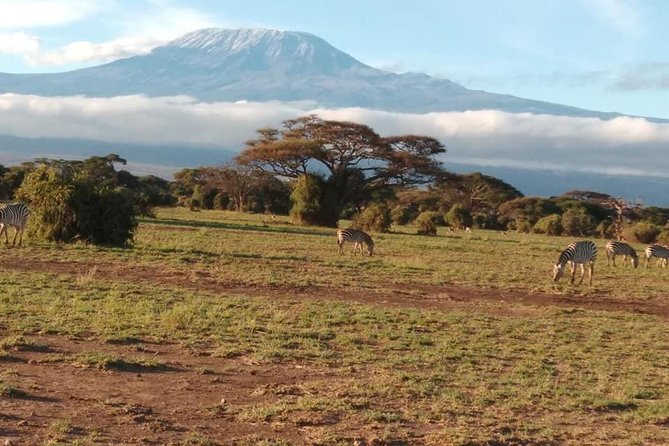 4 Days Best of Kenya Safaris (Tsavo East, Amboseli and Tsavo West.) - Frequently Asked Questions
