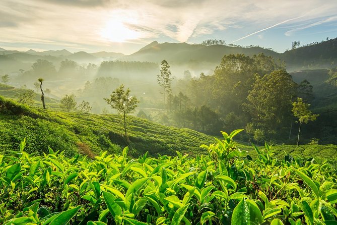 4 Days Best of Kerala Tour With Private Houseboat, Sightseeing & Car - Sightseeing Highlights