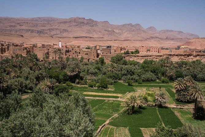4 Days Desert Experience From Casablanca - The Sum Up